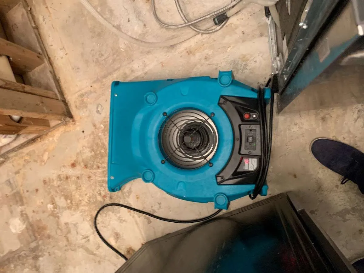 Air mover drying equipment for Mold Remediation & Removal in Ukiah